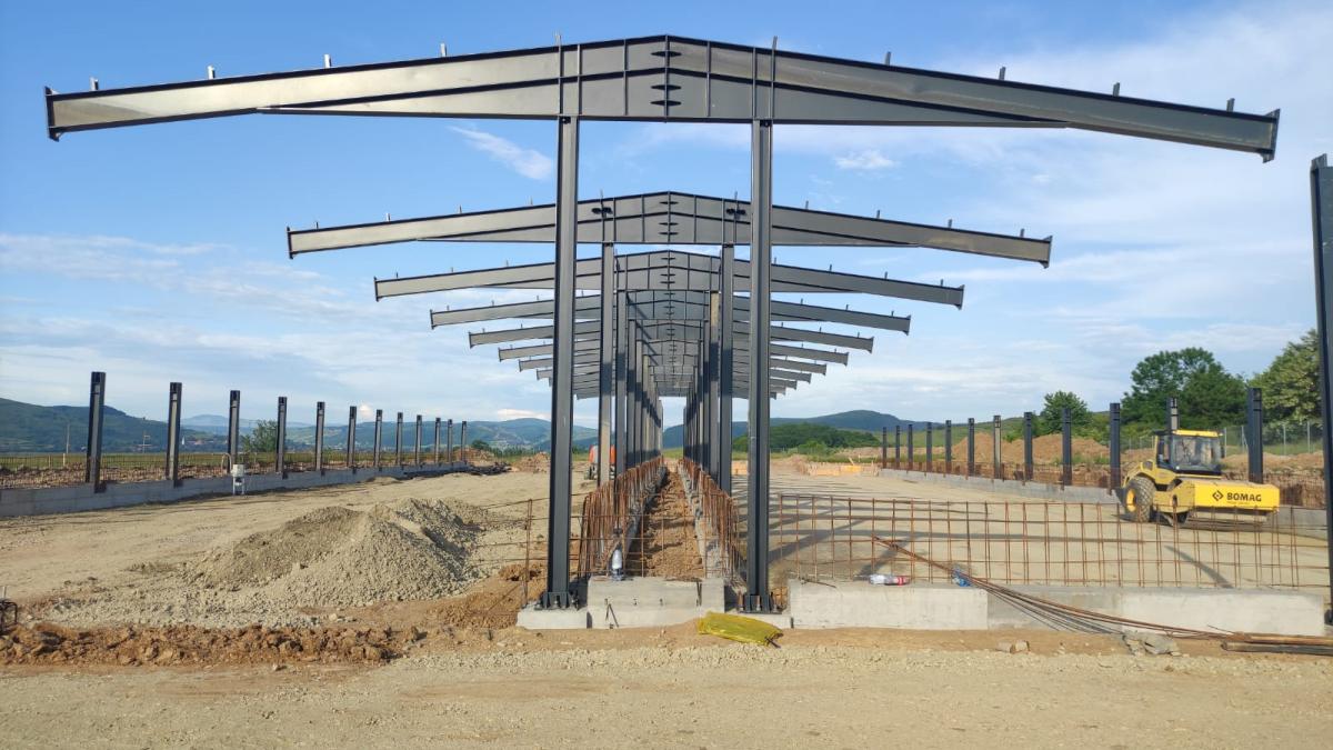 Little Pig I.-II.-III.