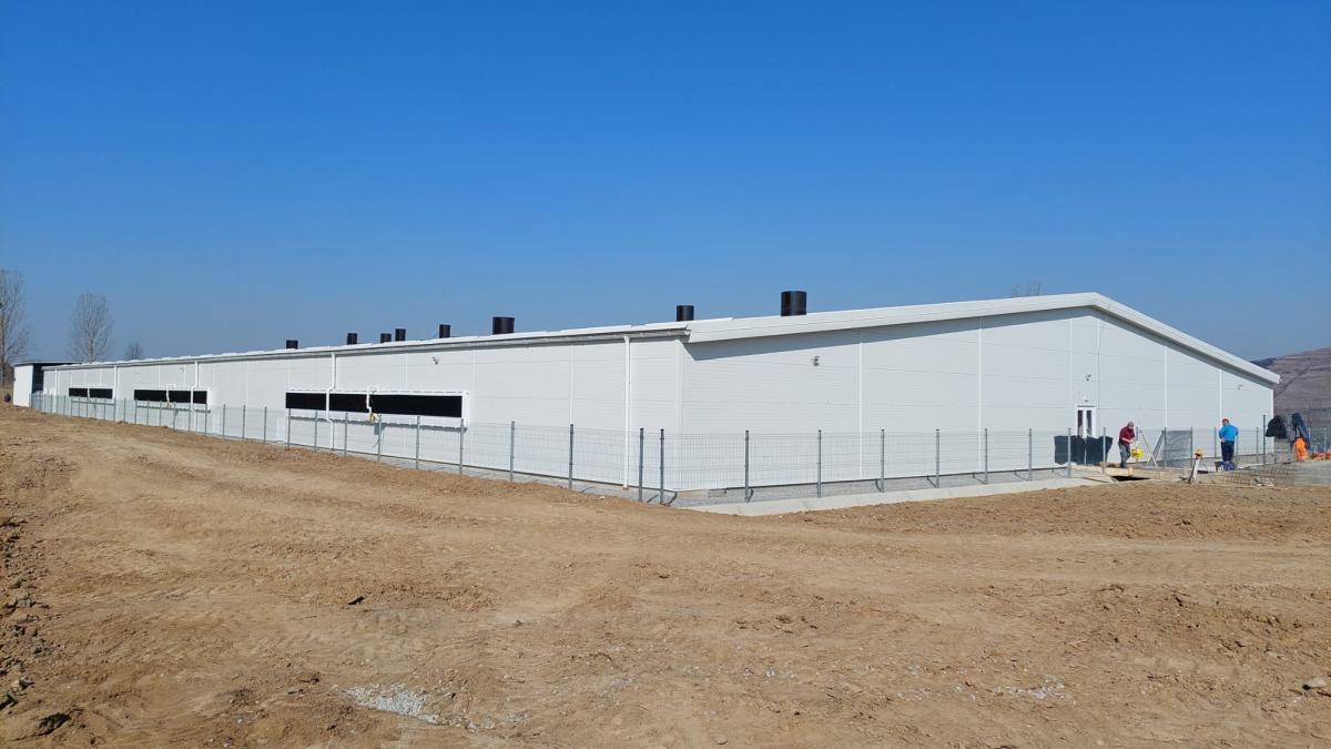 Little Pig I.-II.-III.