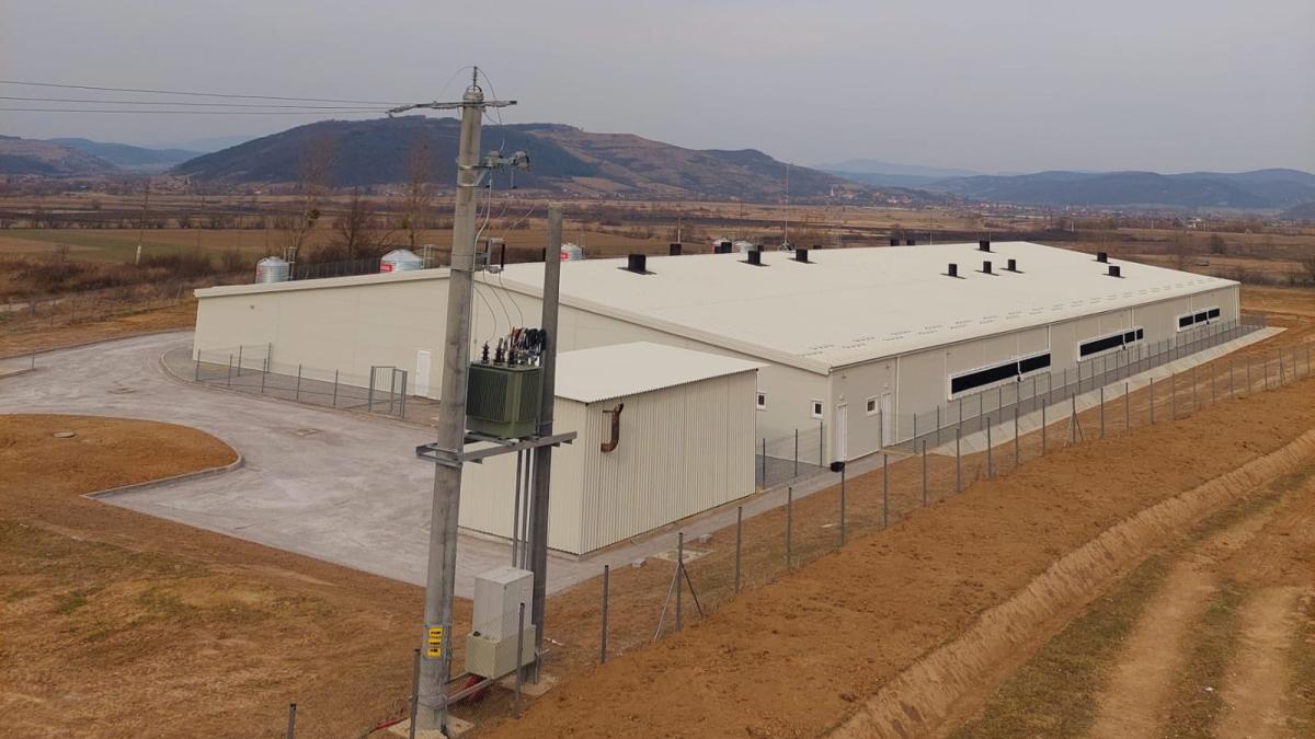 Little Pig I.-II.-III.