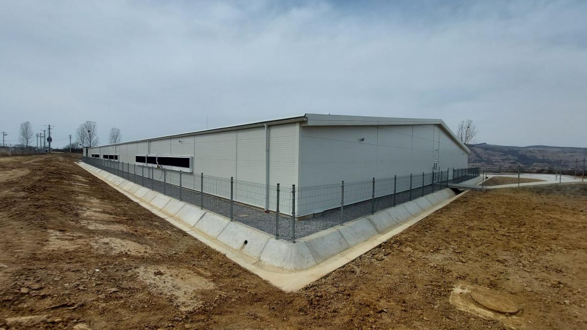 Little Pig I.-II.-III.