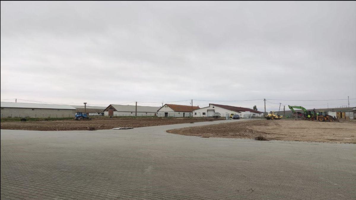 Ferma Cernat – Depozitul de cartofi