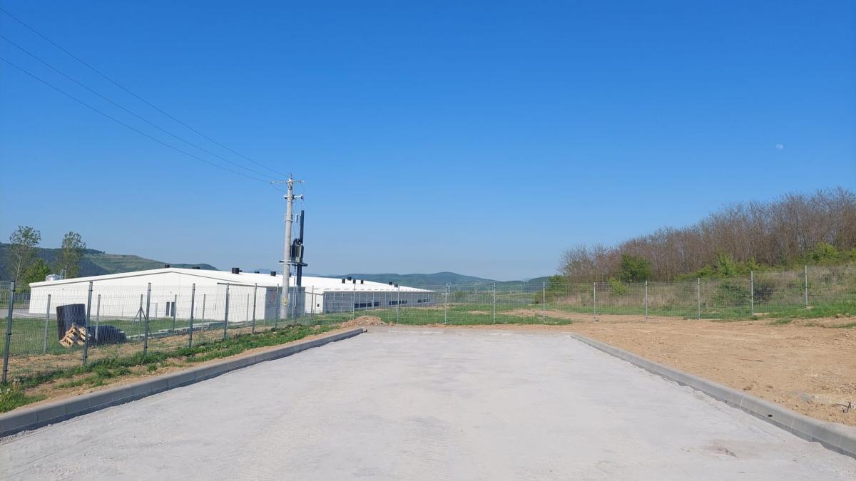 Little Pig I.-II.-III.