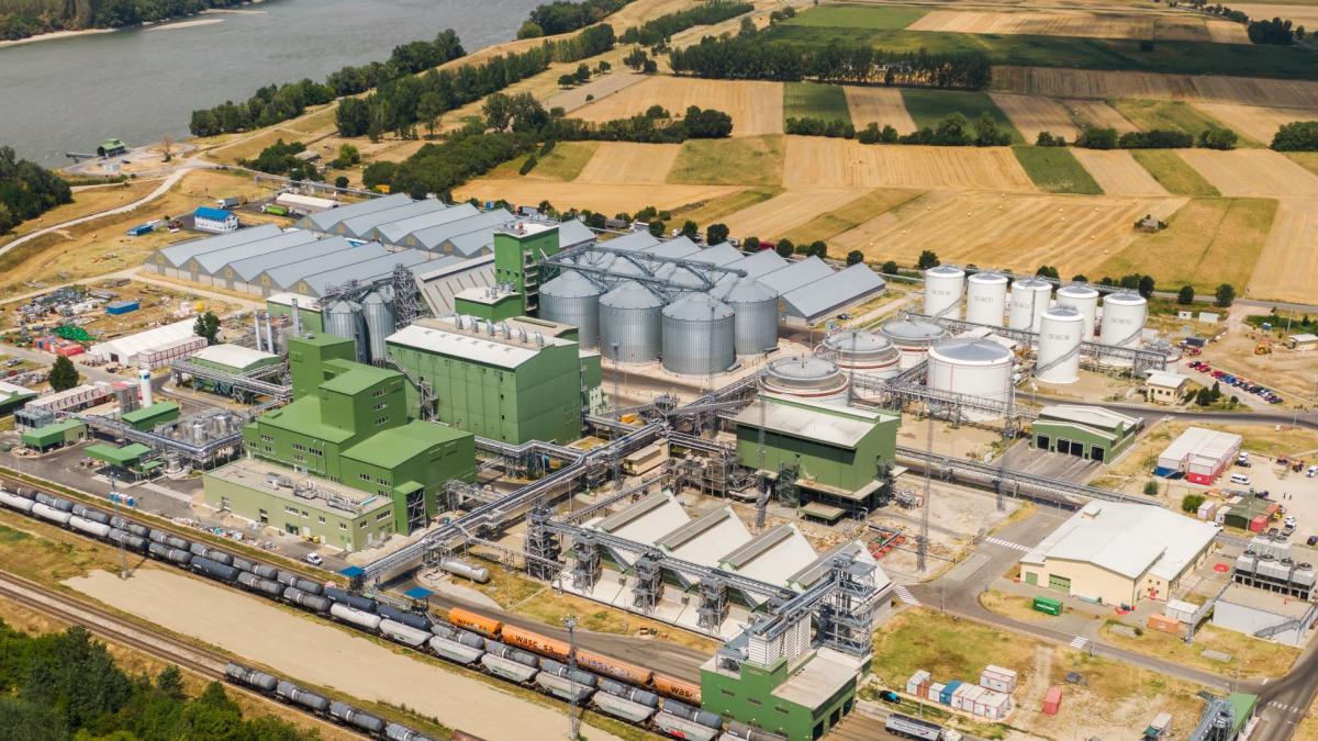 Proiectarea fabricii Viterra