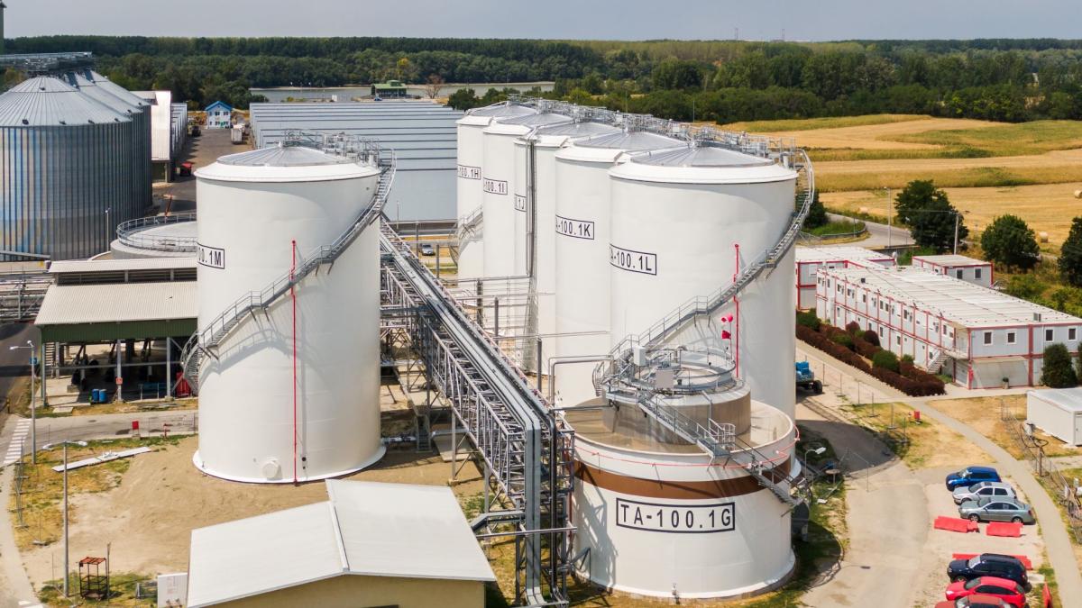 Proiectarea fabricii Viterra