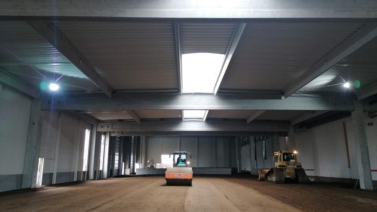 Transilvania Pack &amp; Print