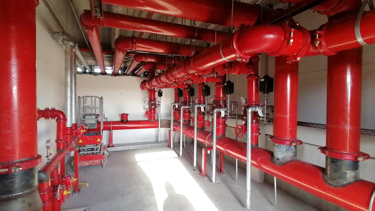 Transilvania Pack &amp; Print