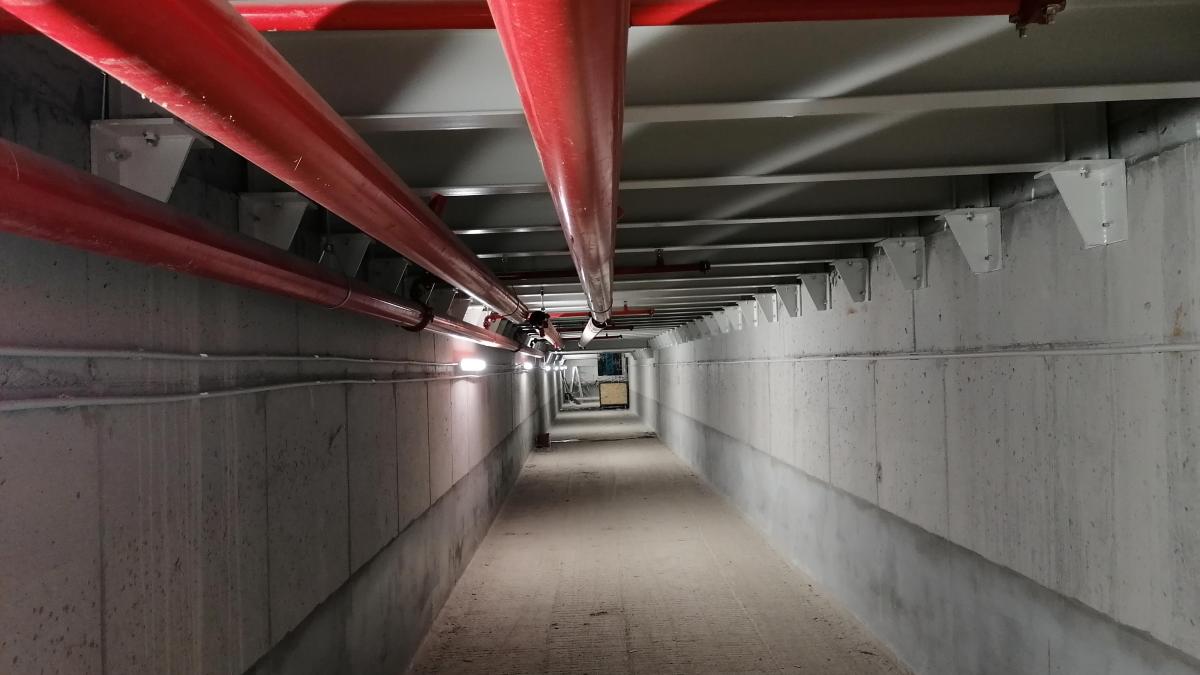 Transilvania Pack &amp; Print