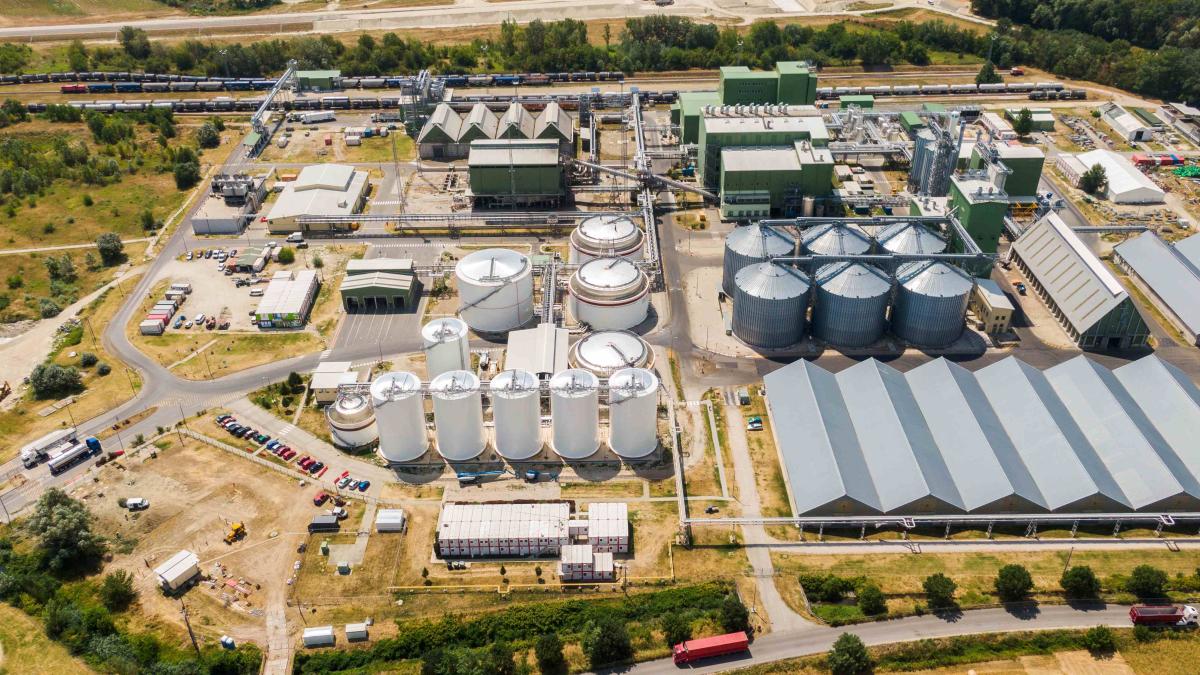 Proiectarea fabricii Viterra