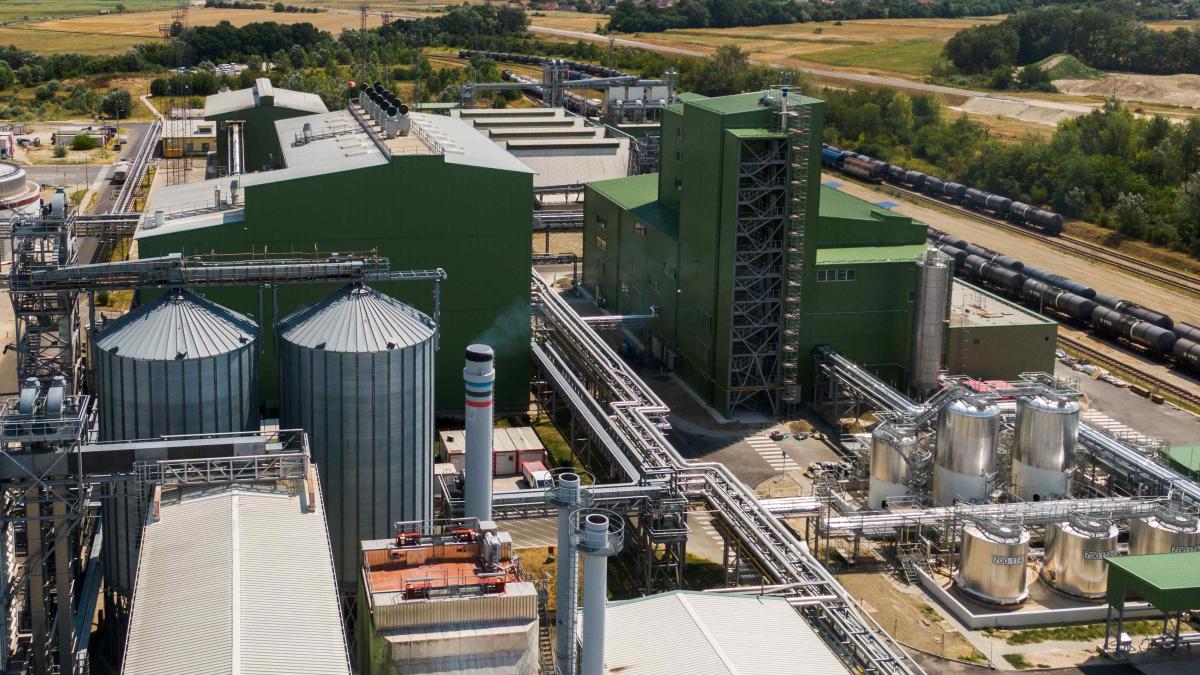 Proiectarea fabricii Viterra