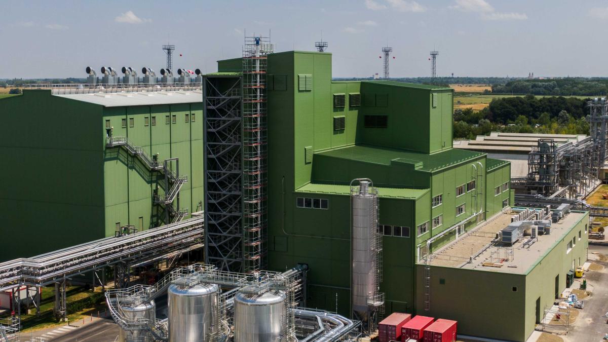 Proiectarea fabricii Viterra