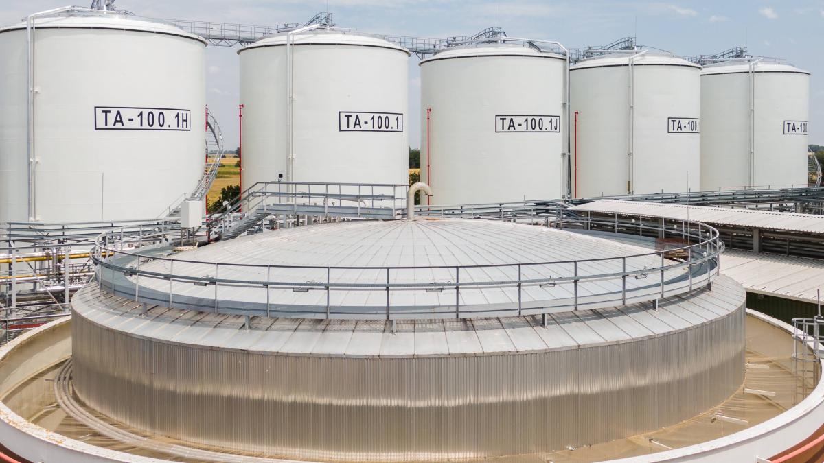 Proiectarea fabricii Viterra