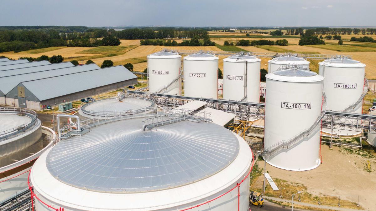 Proiectarea fabricii Viterra